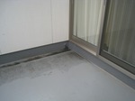IMG_5636.jpg